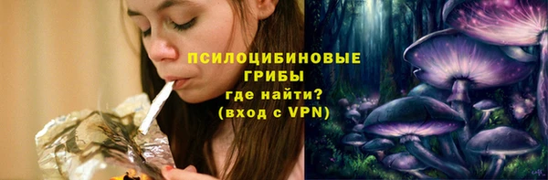 стаф Баксан