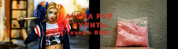 стаф Баксан