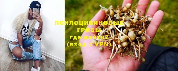 стаф Баксан