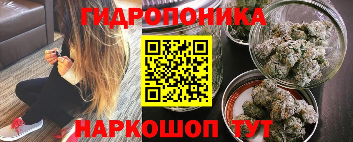 Бошки Шишки Amnesia  Каннабис план  Бутурлиновка  Каннабис White Widow 
